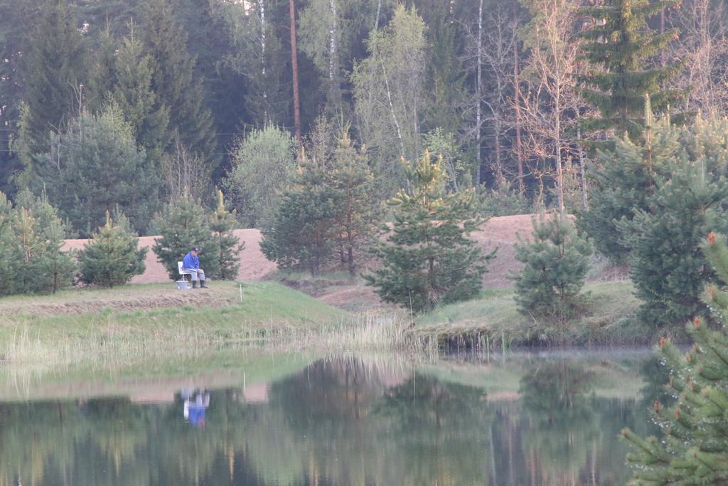 Viesu Maja Forrest Villa Dzimtmisa Exterior foto
