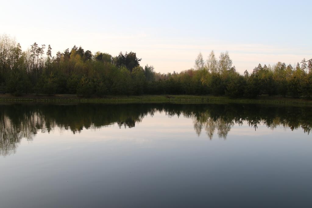 Viesu Maja Forrest Villa Dzimtmisa Exterior foto