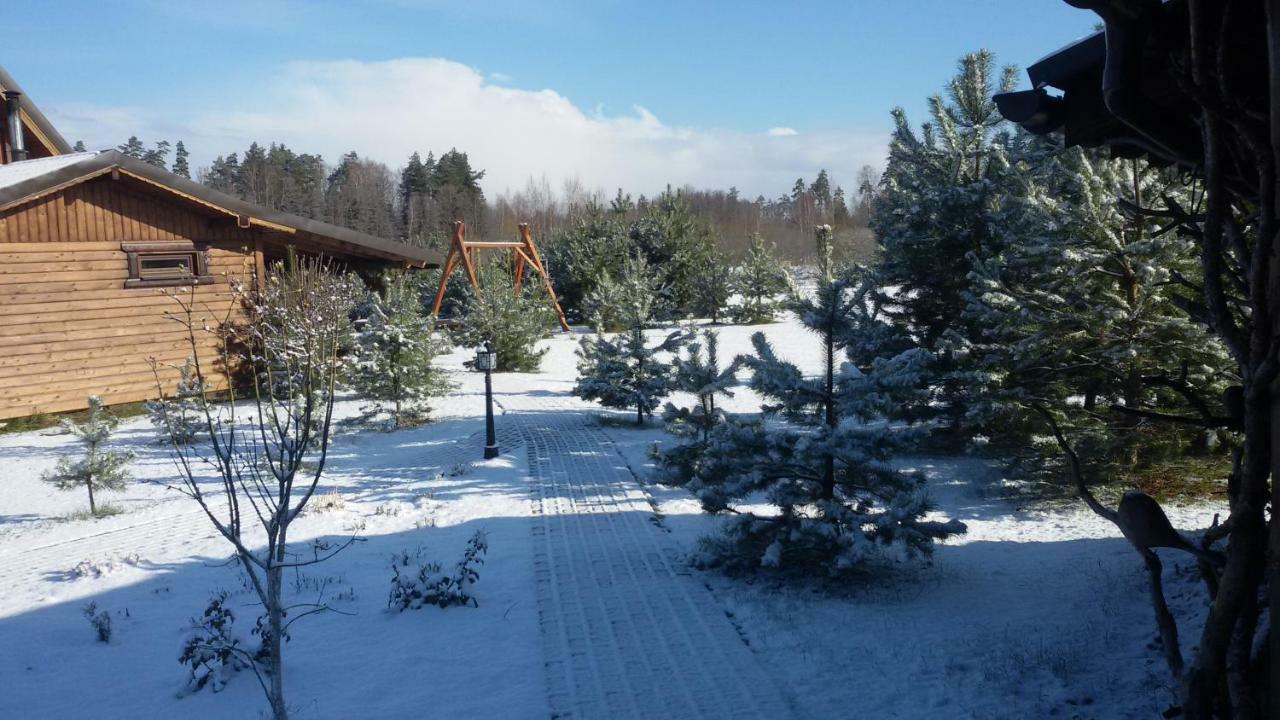 Viesu Maja Forrest Villa Dzimtmisa Exterior foto